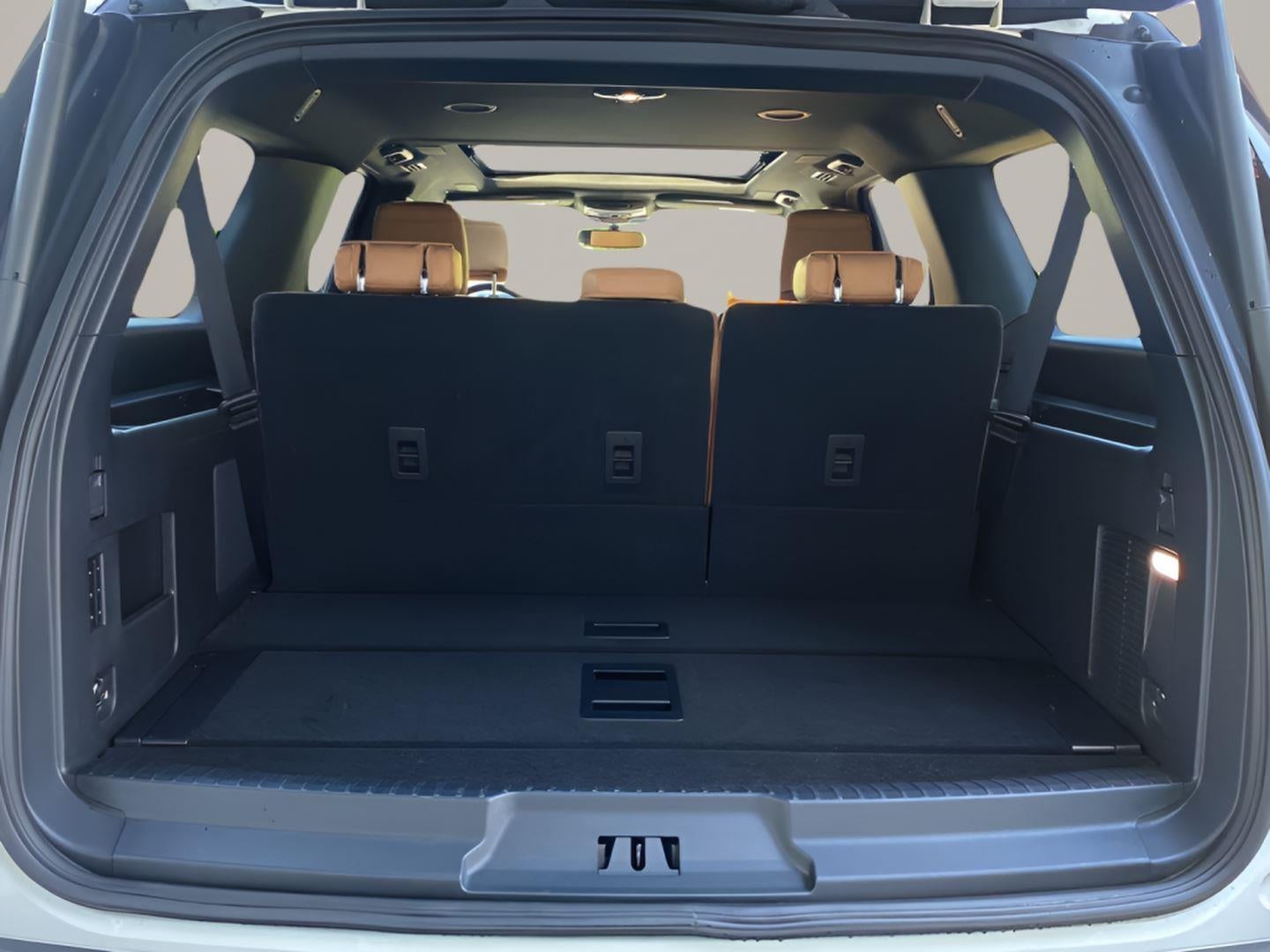 2024 Ford Expedition Platinum MAX